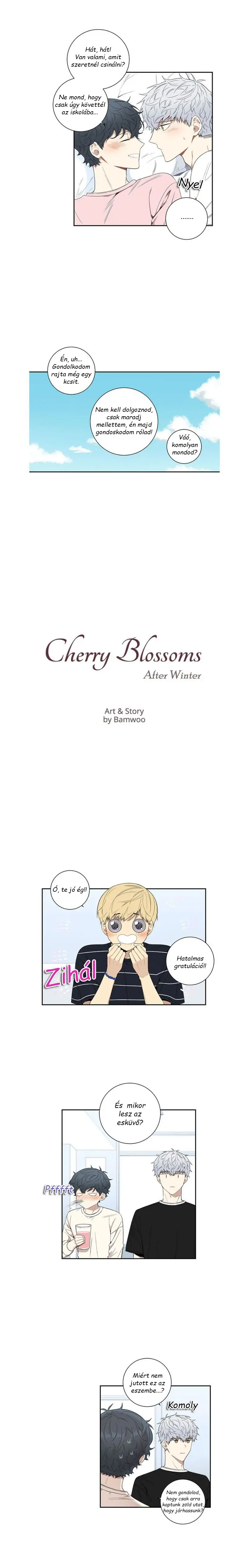 34572526 800 5034 110930