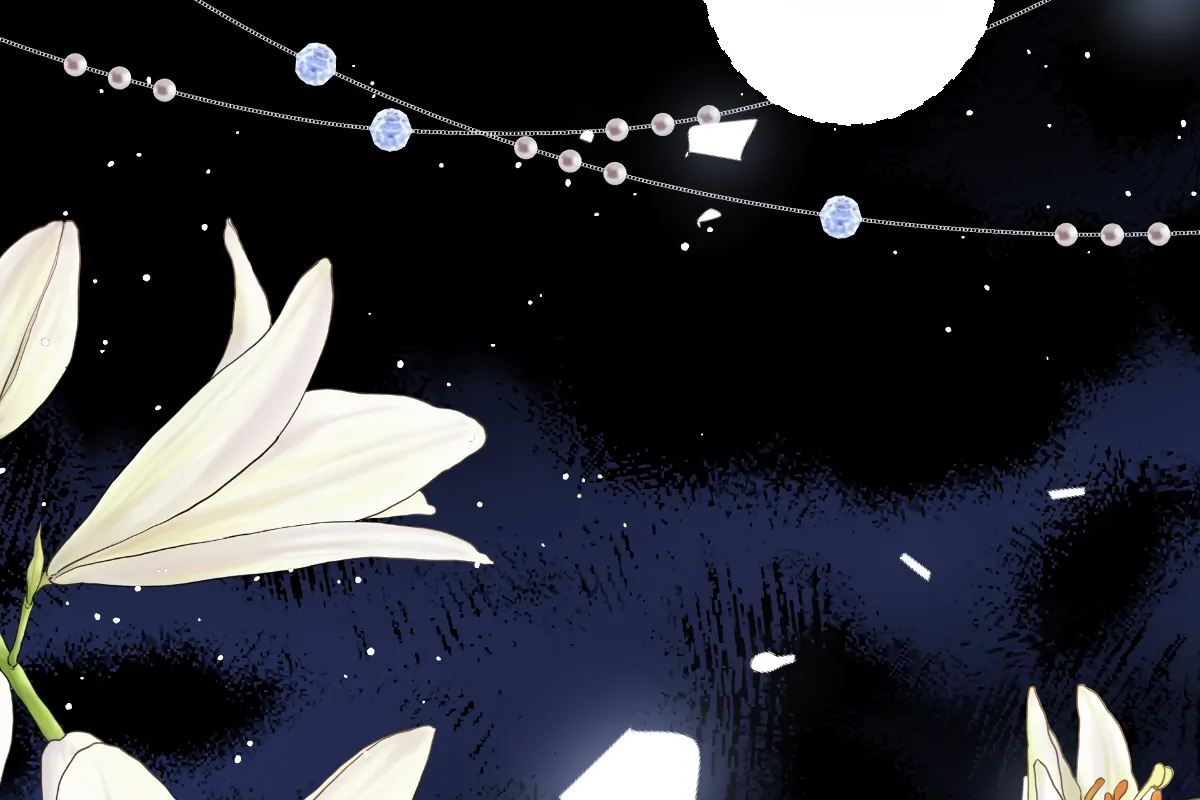 88967794 1200 800 53494